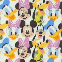 PE-disney-R198