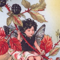 Autumn Fairies by Cicely Mary Barker