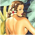 Mirage - Sultry Pinups in Tropical Paradise on Navy- BACK IN STOCK! 