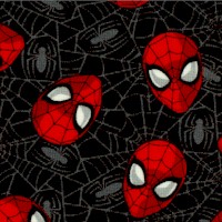 Spiderman Web