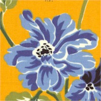 PRO-provence-DD532