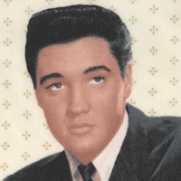 Holiday Elvis Gilded Portrait Panels - SOLD BY THE FULL PANEL ONLY