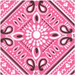 Luckie - Southwestern Bandana in Pink Maude Asbury