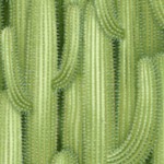 SW-cactus-W843