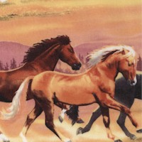 Running Herd - Wild Horses by Howard Robinson