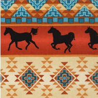 Spirit of the Southwest Stripe by Four Seasons