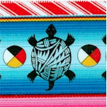 Tucson - Southwest Turtle Serape Stripe - Bright