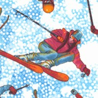 Freestyle - Dynamic Skiers