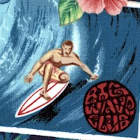 SP-surfing-CC615