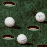 Chip Shot - Golf Balls on the Green  by Dan Morris