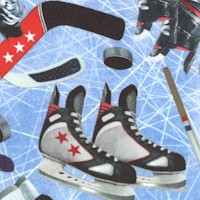 Power Play - Skates, Sticks and Pucks on Ice