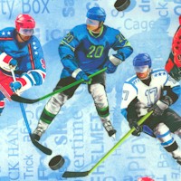 SP-hockey-AA812