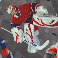 All Star Hockey - Tossed Players on Gray (Digital)