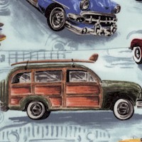 Surf’s Up - Vintage Panel Trucks and Cars by Heidi Dobrott