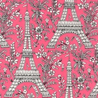 Ooh La La! Eiffel Tower and Floral Toile on Pink