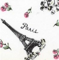 Paris - Tossed Eiffel Towers, Landmarks and Roses by Jessie Steele