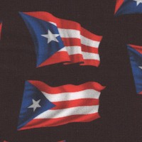 Puerto Rico Pride - Waving Flags on Black