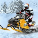 In Motion - Dynamic Snowmobilers