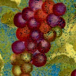 Crush - Tossed Grapes #2 by Sue Zipkin