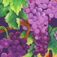 Vineyard - Purple Grapes on Purple