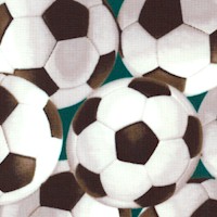 IN the Game - Tossed Soccer Balls on Green