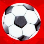 All Stars - Soccer Balls on Red by Maria Kalinowski