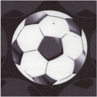 All Stars - Soccer Balls in Black and White by Maria Kalinowski