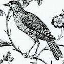 Aviary - Beautiful Bird Toile in Black and Ivory