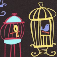 Tweet Tweet - Colorful BIrd Cages on Black
