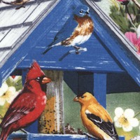 Spring Again - Beautiful Songbirds by Art Licensing