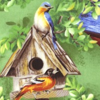 Sweet Melody - Lovely Songbirds and Birdhouses 