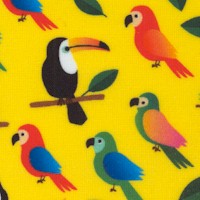 Rainforest Friends - Tropical Birds on Gold - SALE! (MINIMUM PURCHASE 1 YARD)