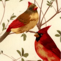 Splendid Cardinals on Branches