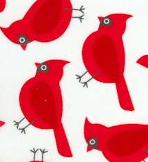 BI-birds-DD629