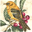 Wall Flowers - Beautiful Songbirds and Berries on Beige - SALE! (ONE YARD MINIMUM PURCHASE) (BI-bird