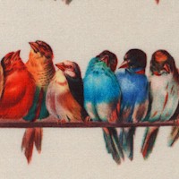 Vintage Birdwatcher - Vertical Songbird Chorus Lines