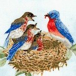 Beautiful Birds - LTD. YARDAGE AVAILABLE (.25 yard) MUST BE PURCHASED IN FULL