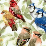 Housing Boom - Beautiful Songbirds -  LTD. YARDAGE AVAILABLE