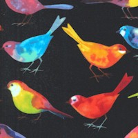 Bird Watchers- Tossed Birds on Black by Norman Wyatt