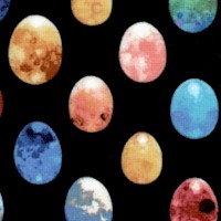 Bird Watchers- Colorful Eggs on Black by Norman Wyatt