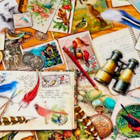 Vintage Birdwatcher - Scattered Postcards, Feathers and Watercolor Paints