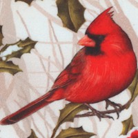 Winter Visitors - Beautiful Cardinals and Holly