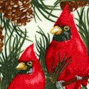 Seasons Greetings - Beautiful Cardinals in Pine Trees on Cream