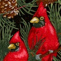 Seasons Greetings - Beautiful Cardinals in Pine Trees on Black