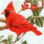 The Cardinal Rule - Beautiful Birds on Branches