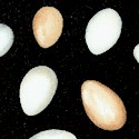 Tossed Brown and White Eggs on Black by Jennifer Garant