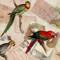 Exotic Birds and Correspondence