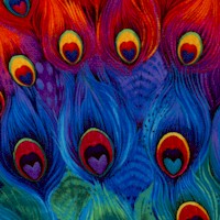 Plume - Rainbow Peacock Feathers by Chong-a Hwang