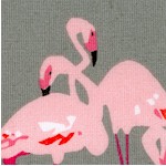 Flamingoes on Gray