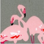 BI-flamingoes-X18